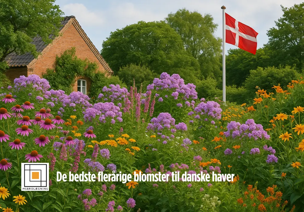 Flerårige blomster til danske haver - Vælg de bedste