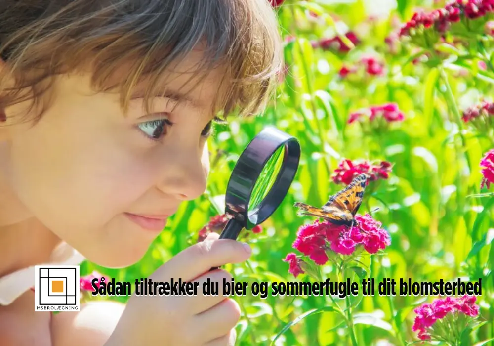 Tiltræk bier og sommerfugle med dit blomsterbed